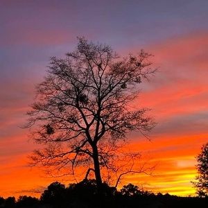 Meet your Posher, June